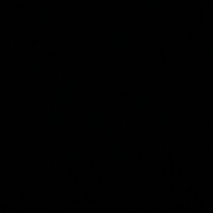 Meet your Posher, Maneka